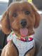 rubyrosedogtreats.com - Home